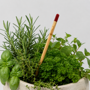 Herb Seed Pencil — Herb Seed Pencil