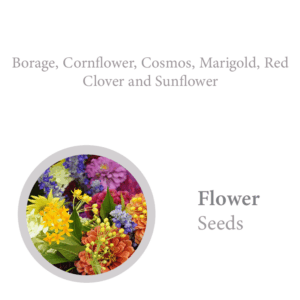 Flower Seed Pencil