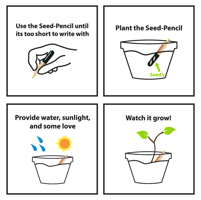 Herb Seed Pencil - Image 6