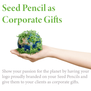 Alternative view of Seed Pencil Eco Set
