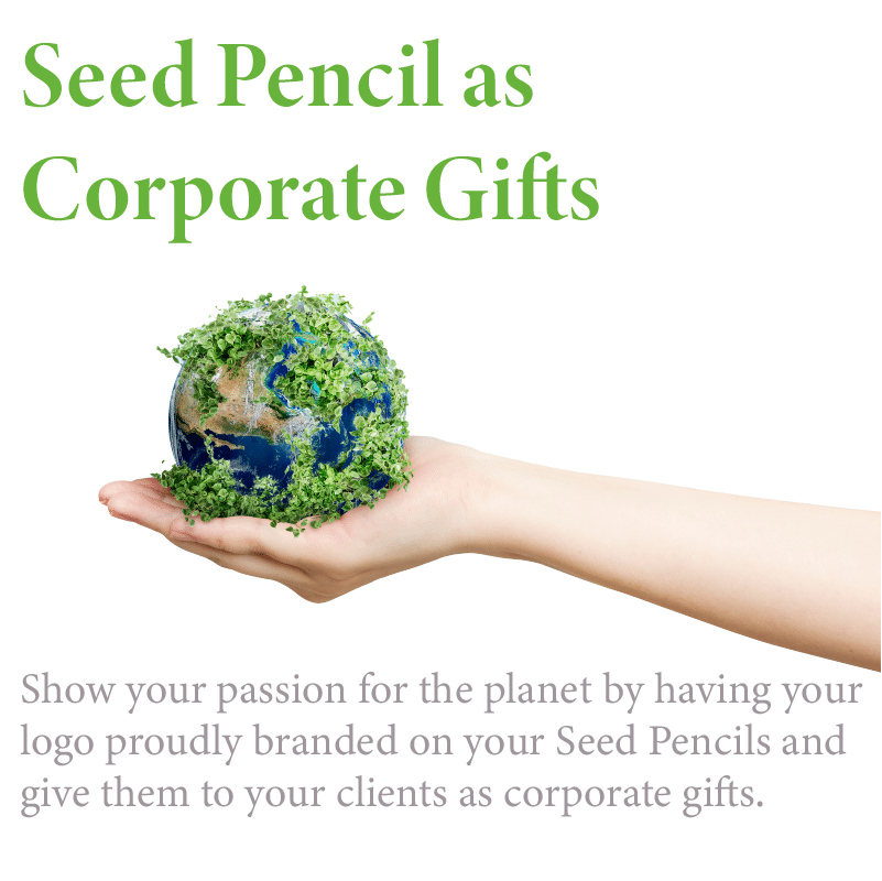 Herb Seed Pencil - Image 5
